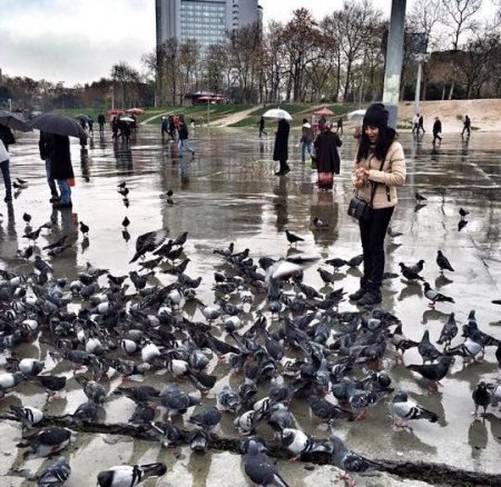 "Amma bura çox soyuqdur, balama qıymadım"