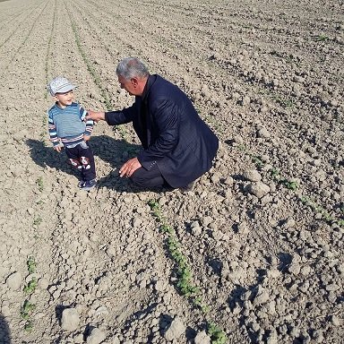 Əgər kənd təsərrüfatının durumu naziri düşündürmürsə...