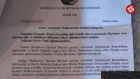 "11 ildən sonra Əmək və Əhalinin Sosial Müdafiəsi Nazirliyi ortalığa düşüb ki, bu, şəhid sayılmır..."