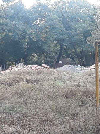 Qırmızı Kitaba daxil olan agaclar məhv edilib, yerində restoran tikilib