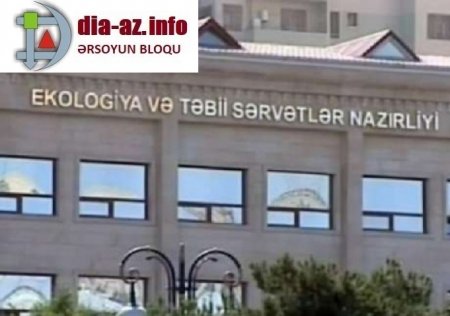 “Asfalt Raqib” təbiətin QƏSDİNƏ DURUB...