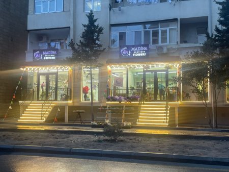 Həbibullayev Prezidentin göstərişlərini NİYƏ ÖNƏMSƏMİR?