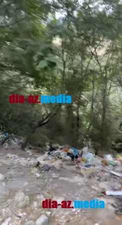 Meşə ərazisini zibilxanaya döndəriblər... Meşə ərazisini zibilxanaya döndəriblər...