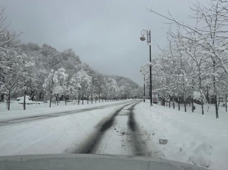 Qəbələnin başçışı “qış yuxusuna” gedib 