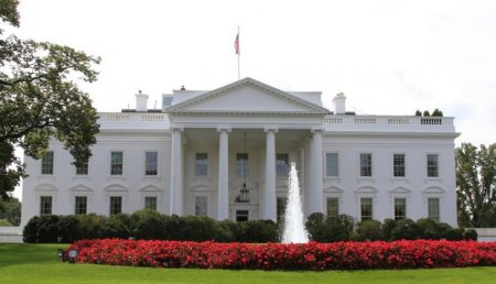 “USAID bizə bunun üçün pul verməyib” “USAID bizə bunun üçün pul verməyib”